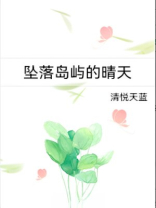坠落岛屿的晴天免费晴安