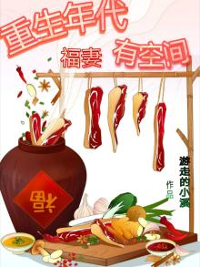 重生年代福妻有空间 小说