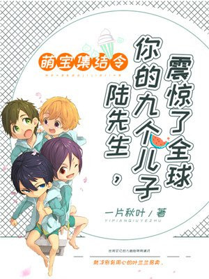 萌宝集结令:陆先生,你的九个孩子震惊了全球