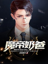 魔帝奶爸TXT免费全文下载