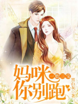 一胎三宝:妈咪你别跑 第314章