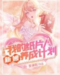 卡牌:我的纸片人新娘养成计划