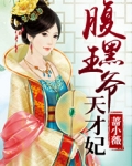 腹黑王爷天才妃
