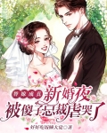 替嫁成真,新婚夜被傻子总裁虐哭了