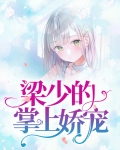 梁少的掌上娇宠