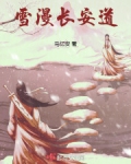 雪漫长安道