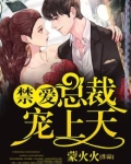 禁爱总裁宠上天