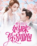 萌宝上门:妈咪你别跑