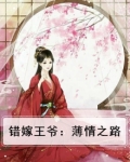 错嫁王爷:薄情之路