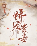 娇宠贵妾