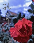 玩弄