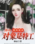 都市:我的相亲对象是特工