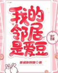 我的邻居是爱豆
