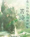 苦境:在三台柱身边那些年