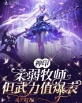 神印:柔弱牧师,但武力值爆表