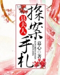 县夫人探案手札