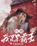 红楼:我是呆霸王