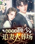偏宠罪妻:顾少,追妻火葬场