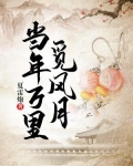 当年万里觅风月