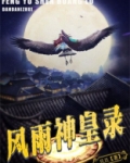 风雨神皇录