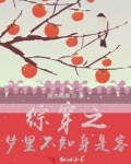 综穿之梦里不知身是客
