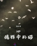 HP鸽群中的猫