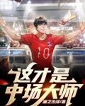 这才是中场大师!