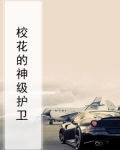校花的神级护卫