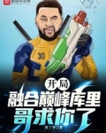 开局融合巅峰库里,哥求你了