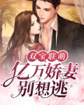 双宝联萌:亿万娇妻别想逃
