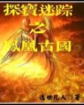 探宝迷踪之凤凰古国