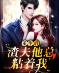 重生后渣夫他总粘着我
