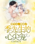 重生后,我成了季先生的心尖宠