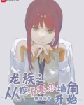 龙族之从挖卡塞尔墙角开始