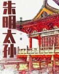 朱明太孙