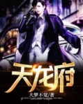 天龙府