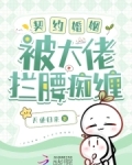 契约婚姻,被大佬拦腰痴缠