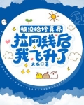 被迫给修真界拉网线后,我飞升了
