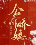 公府娇媳