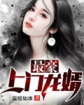 最豪上门龙婿