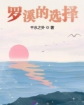 罗溪的选择