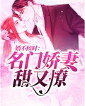 婚不候时:名门娇妻甜又撩