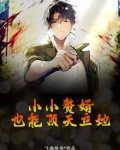 小小赘婿,也能顶天立地