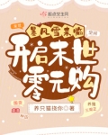 暴风雪来临:开启末世零元购