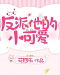 反派他的小可爱