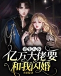 重生八零:亿万大佬要和我闪婚?