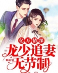 亿万情深:龙少追妻无节制