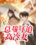 总裁狂追高冷妻