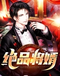 绝品将婿