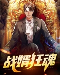 战婿狂魂